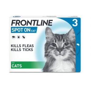 frontline spot on for cats