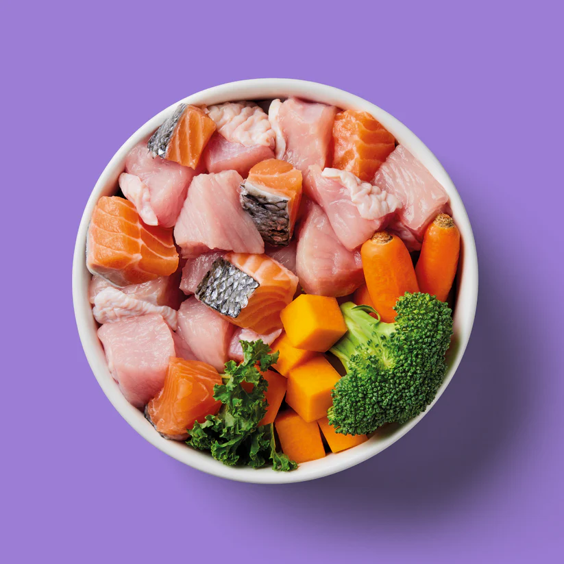 Nutriment Raw Salmon and Turkey - Image 4