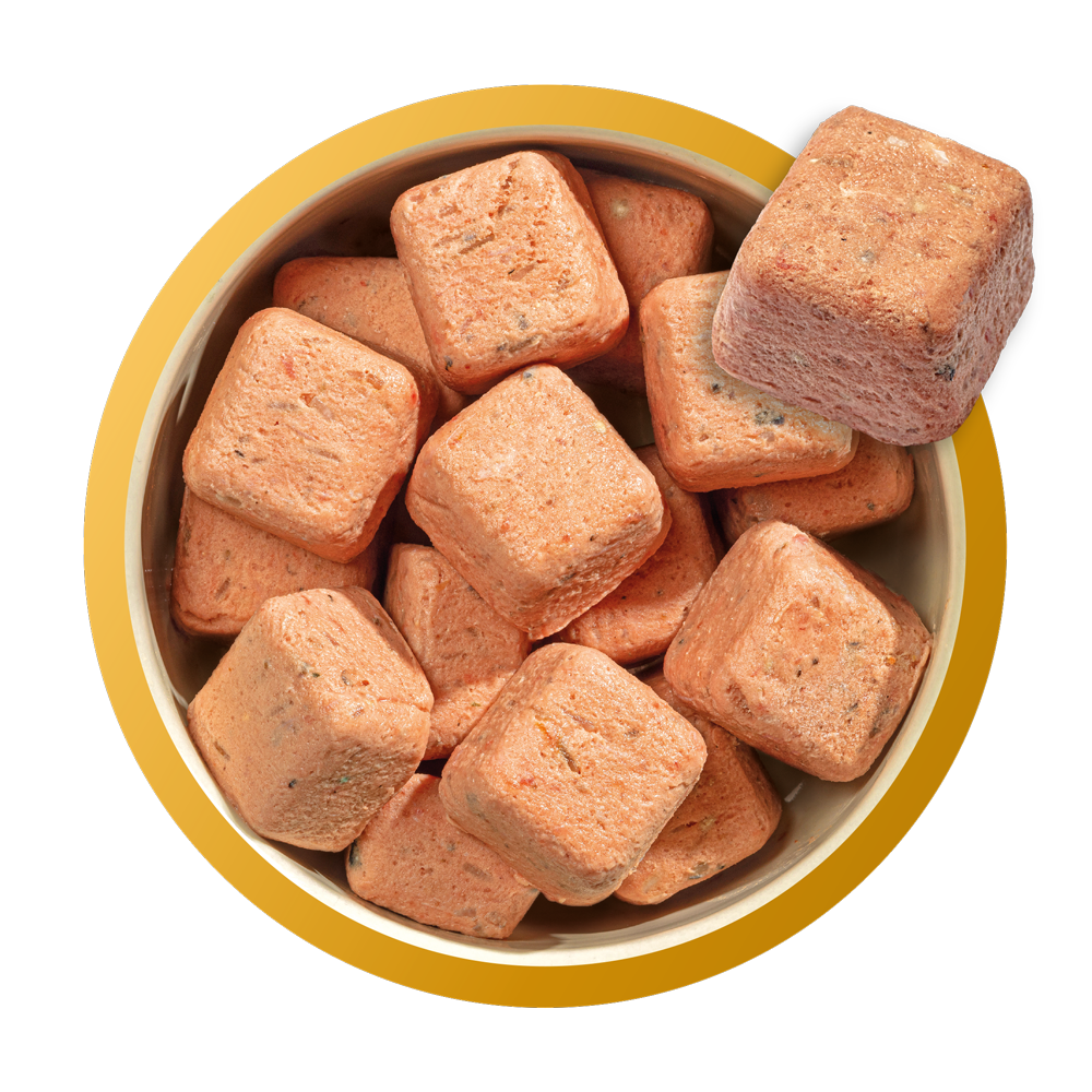 Natures Menu Puppy nuggets Chicken and salmon - Image 2