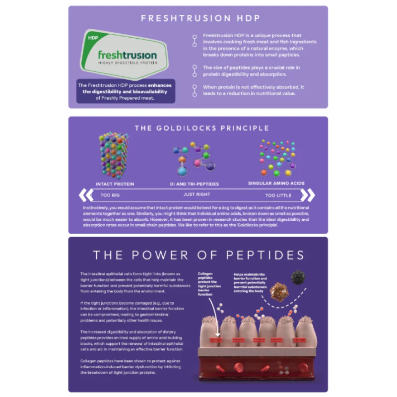 Peptide plus digestive care vet approved - Image 3