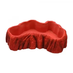 pro rep beardie billabong dish