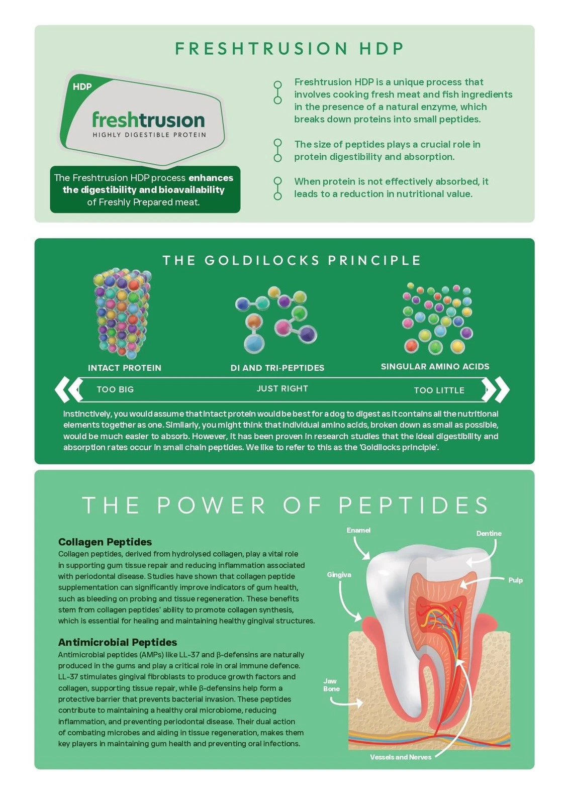 Peptide plus dental care vet approved - Image 3
