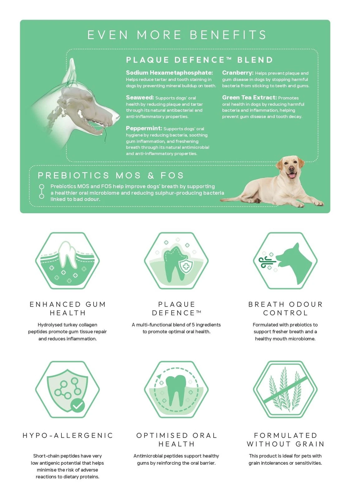 Peptide plus dental care vet approved - Image 4