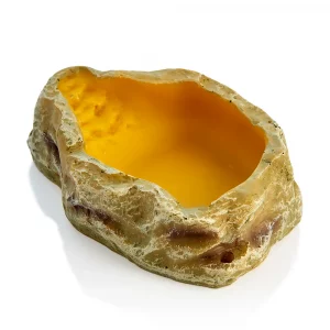 terrarium stone small dish